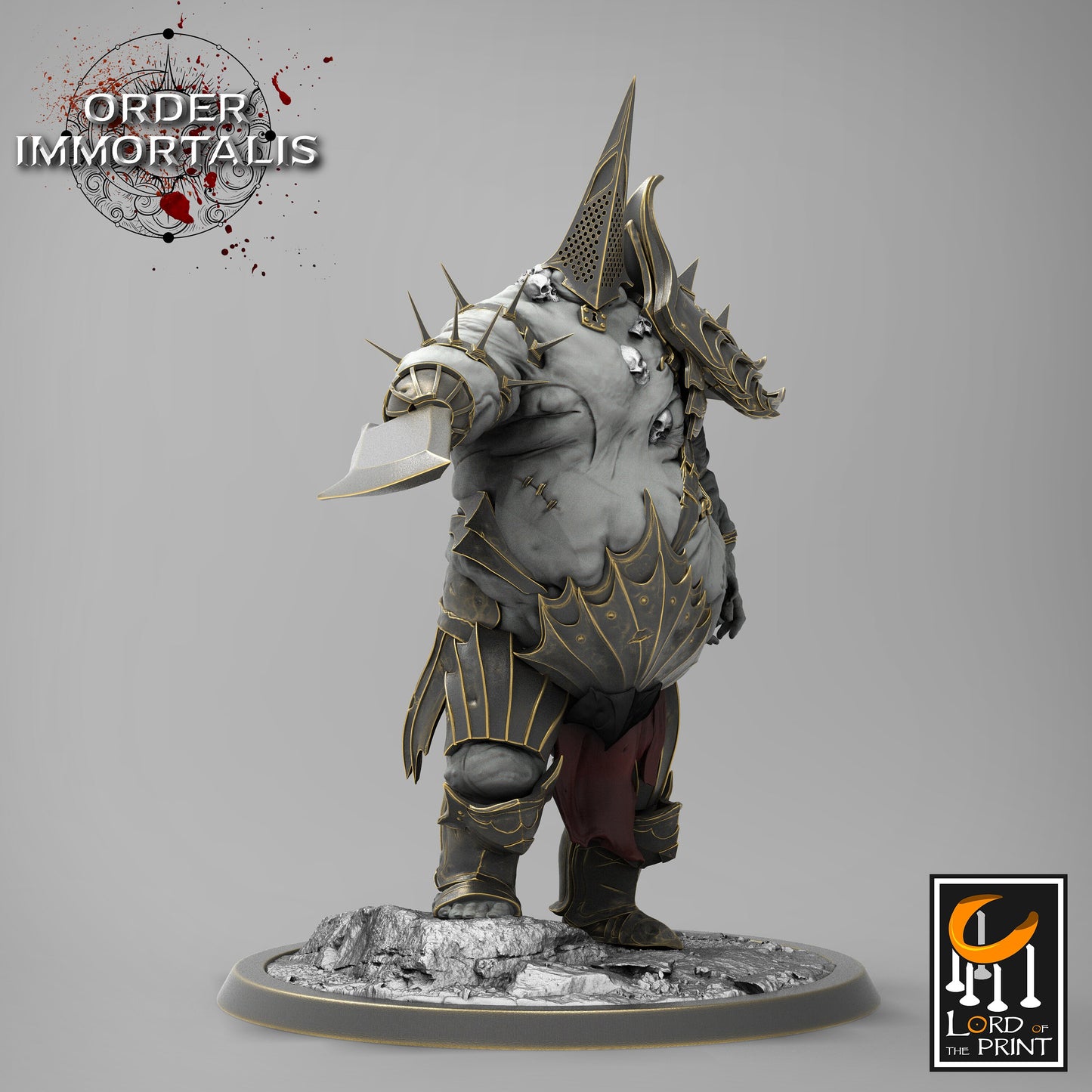 Tormentor Order Immortalis, Lord of the Print | Dungeons and Dragons | Pathfinder | Table Top RPG | 3D Printed Model