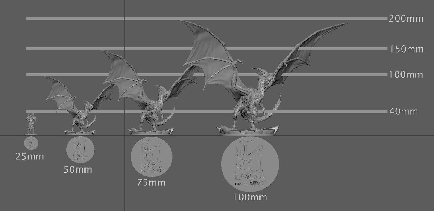 White Dragon, Frost Dragon, Lord of the Print | Dungeons and Dragons | Pathfinder | Table Top RPG | 3D Printed Model
