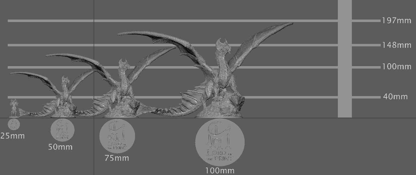 Brass Dragon, Talkative Dragon, Lord of the Print | Dungeons and Dragons | Pathfinder | Table Top RPG | 3D Printed Model