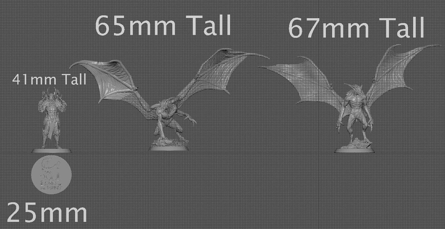 Flying Vampires, Order Immortalis, Lord of the Print | Dungeons and Dragons | Pathfinder | Table Top RPG | 3D Printed Model
