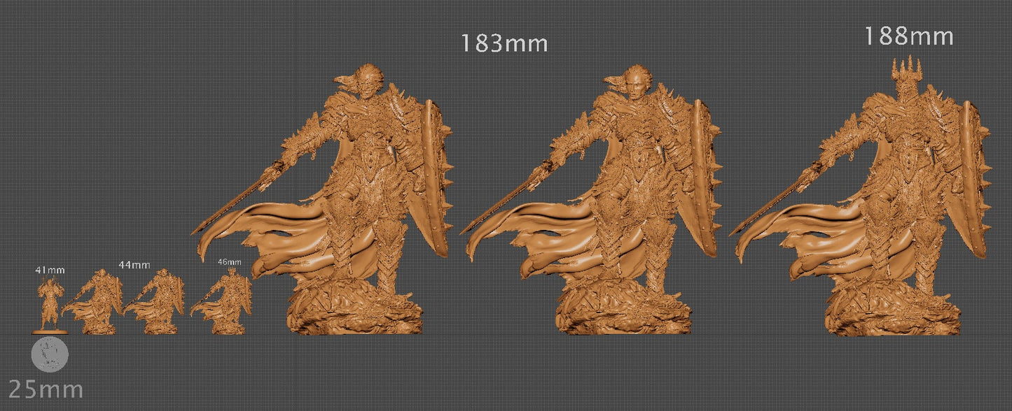 Vaeter the Branded Knight, Powerful NPC, Ernest Nemirovsky | Dungeons and Dragons | Pathfinder | Table Top RPG | 3D Printed Model