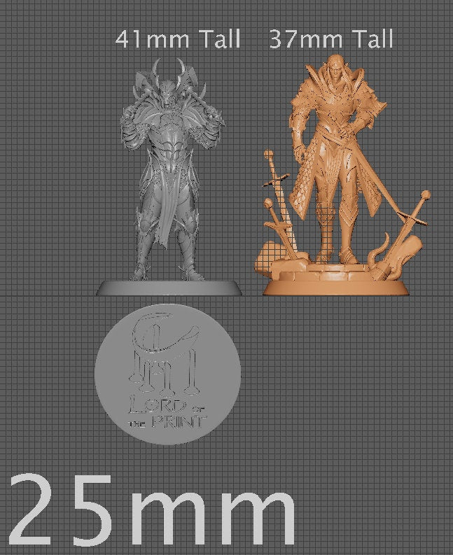 Lord Veir, Elvish Kingdom of Nela Dan, Lord of the Print | Dungeons and Dragons | Pathfinder | Table Top RPG | 3D Printed Model