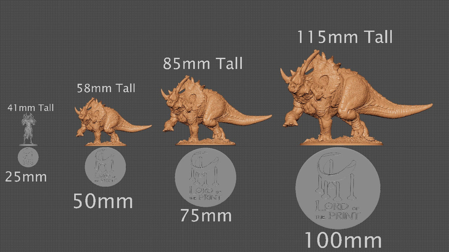 Sinoceratops Alpha, Dinotopia, Lord of the Print | Dungeons and Dragons | Pathfinder | Table Top RPG | 3D Printed Model
