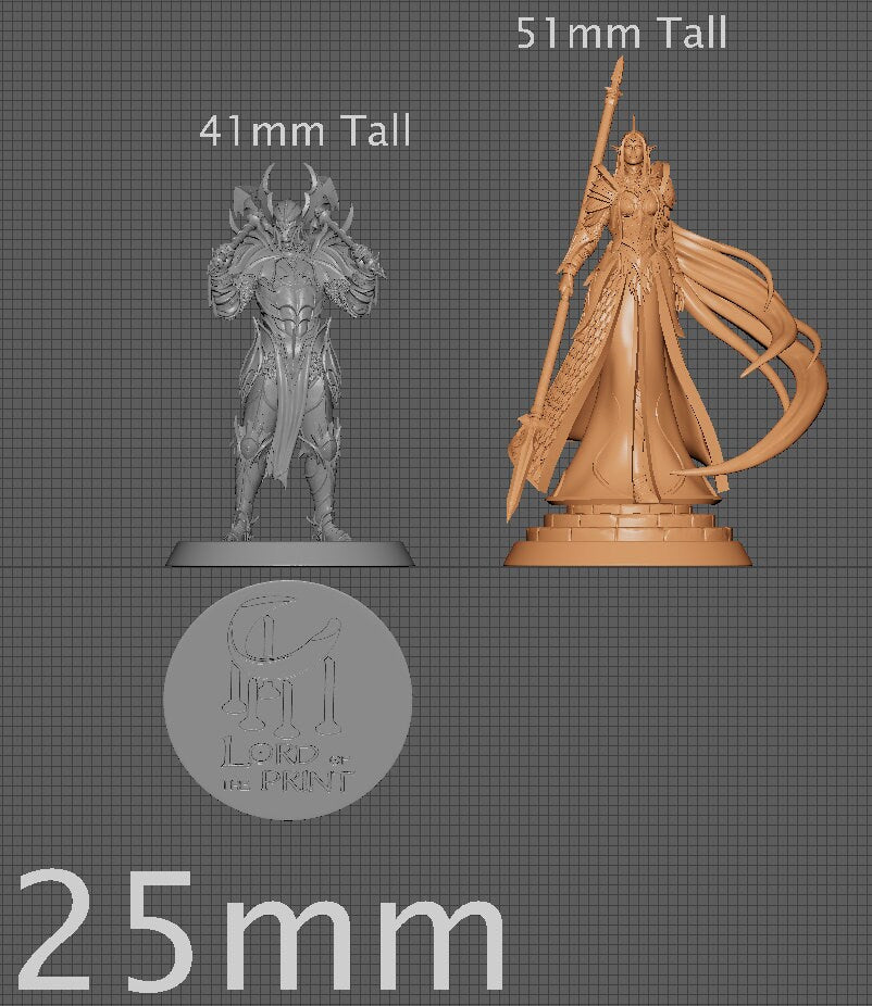 Queen Mirosi, Elvish Kingdom Nela Dan, Lord of the Print | Dungeons and Dragons | Pathfinder | Table Top RPG | 3D Printed Model