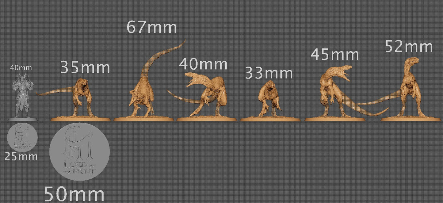 Wild Raptors, Dinotopia, Lord of the Print | Dungeons and Dragons | Pathfinder | Table Top RPG | 3D Printed Model