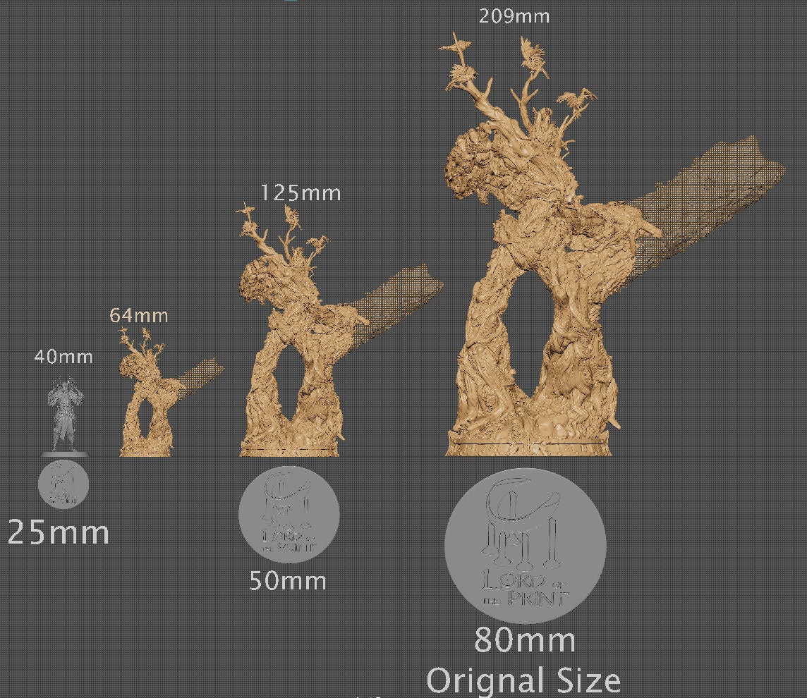Mirewood, Witchsong Miniatures | Dungeons and Dragons | Pathfinder | Table Top RPG | 3D Printed Model
