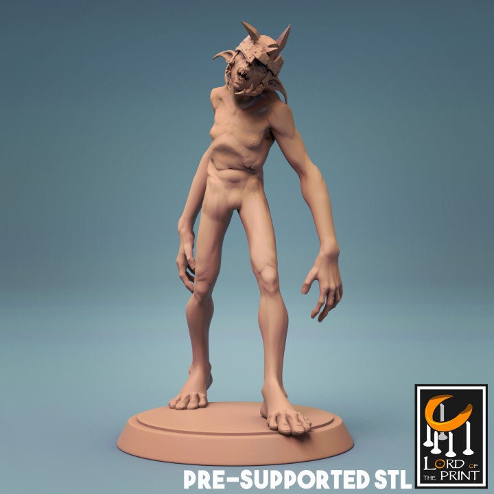 Goblins, Lord of the Print | Dungeons and Dragons | Pathfinder | Table Top RPG | 3D Printed Model