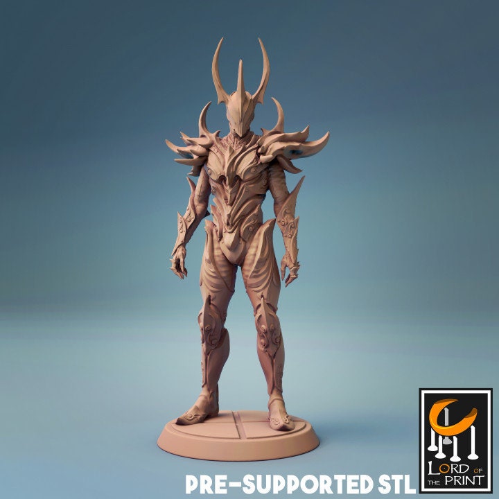 Belam, The Dark Angel, Lord of the Print | Dungeons and Dragons | Pathfinder | Table Top RPG | 3D Printed Model