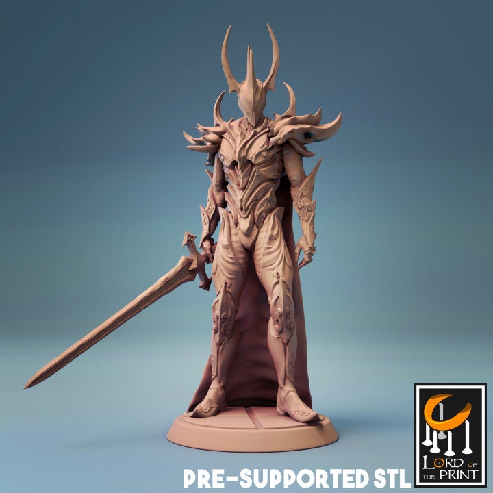 King Radrun, Lord of the Print | Dungeons and Dragons | Pathfinder | Table Top RPG | 3D Printed Model