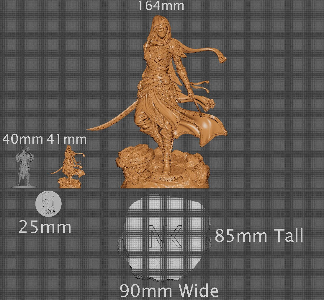 Artemesia, Assassin, Powerful NPC, Ernest Nemirovsky | Dungeons and Dragons | Pathfinder | Table Top RPG | 3D Printed Model
