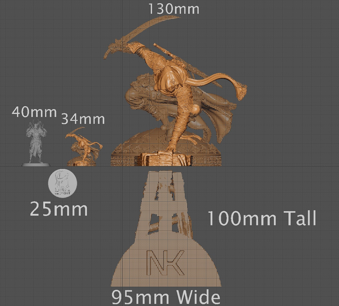 Nasir, Assassin, Powerful NPC, Ernest Nemirovsky | Dungeons and Dragons | Pathfinder | Table Top RPG | 3D Printed Model
