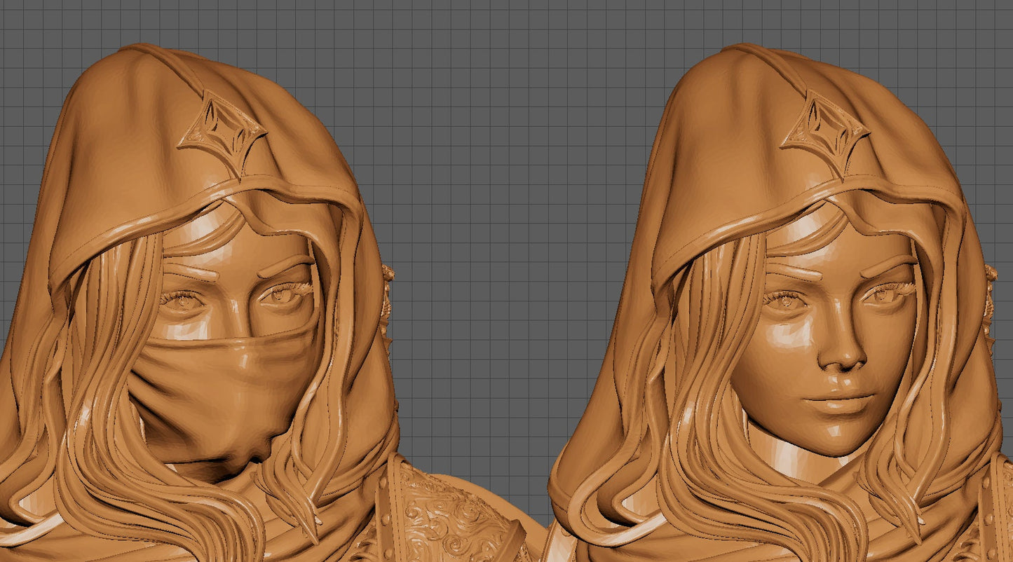 Artemesia, Assassin, Powerful NPC, Ernest Nemirovsky | Dungeons and Dragons | Pathfinder | Table Top RPG | 3D Printed Model