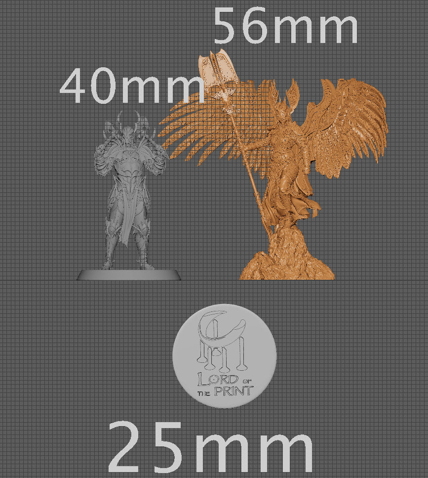 Revna the Valkyrie, Powerful NPC, Ernest Nemirovsky | Dungeons and Dragons | Pathfinder | Table Top RPG | 3D Printed Model