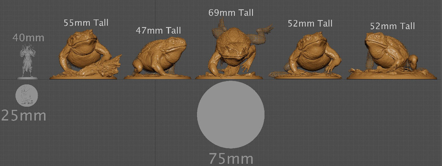 Wild Toads, The Shellback Ritual, Lord of the Print | Dungeons and Dragons | Pathfinder | Table Top RPG | 3D Printed Model