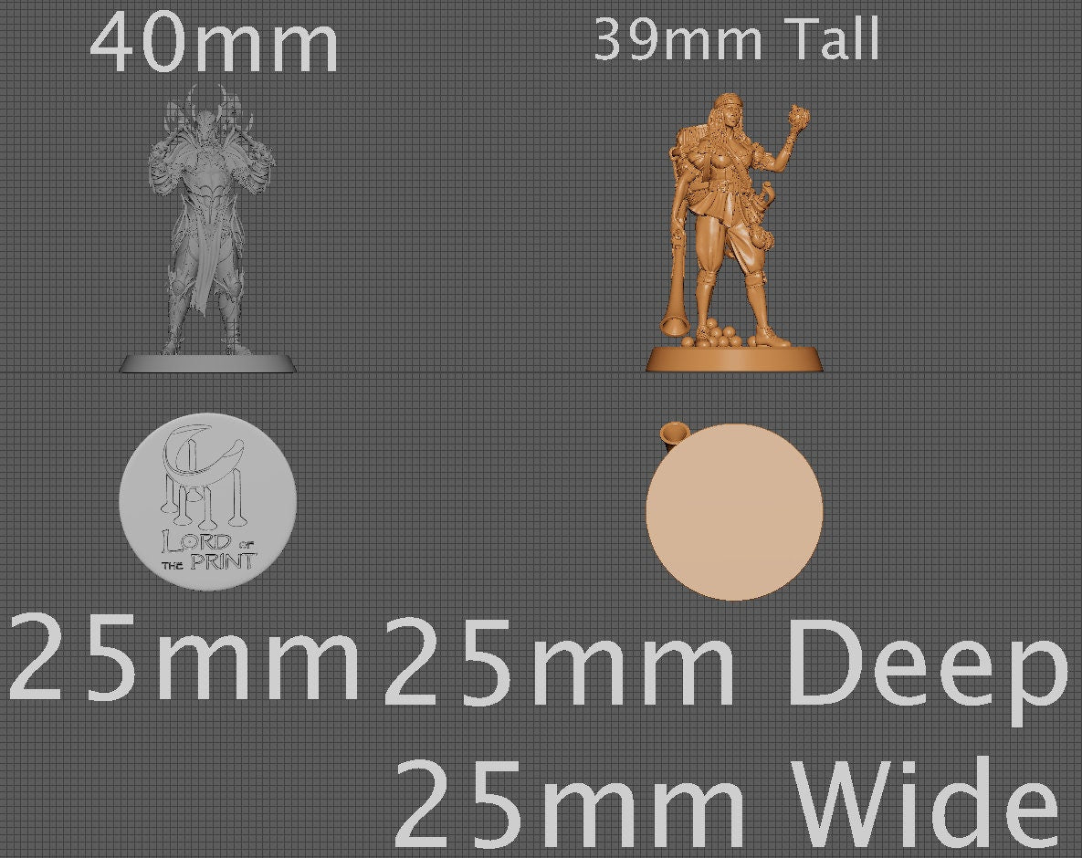 Dyna, Collective Studios | Dungeons and Dragons | Pathfinder | Table Top RPG | 3D Printed Model