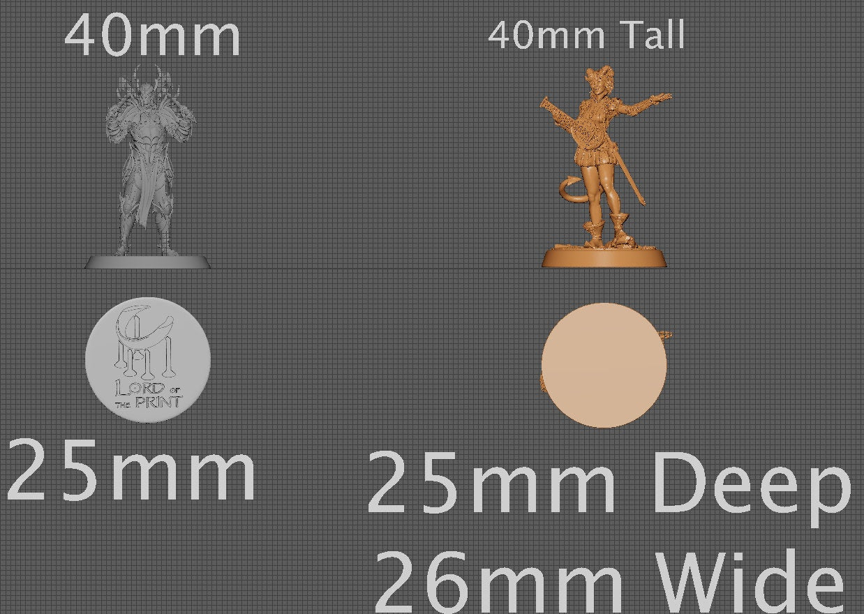Sigrid, Collective Studios | Dungeons and Dragons | Pathfinder | Table Top RPG | 3D Printed Model
