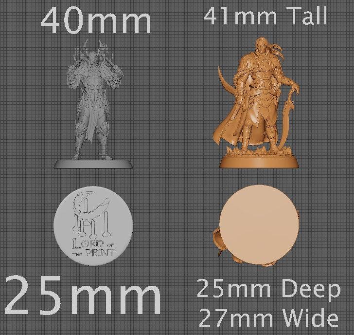 Levin, Collective Studios | Dungeons and Dragons | Pathfinder | Table Top RPG | 3D Printed Model