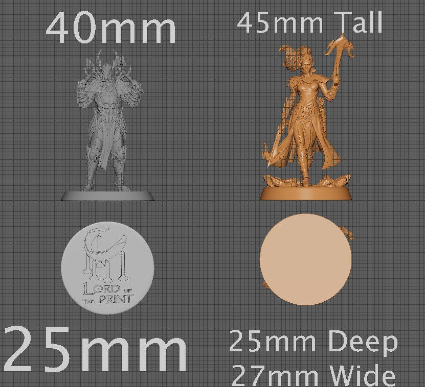 Livia, Collective Studios | Dungeons and Dragons | Pathfinder | Table Top RPG | 3D Printed Model