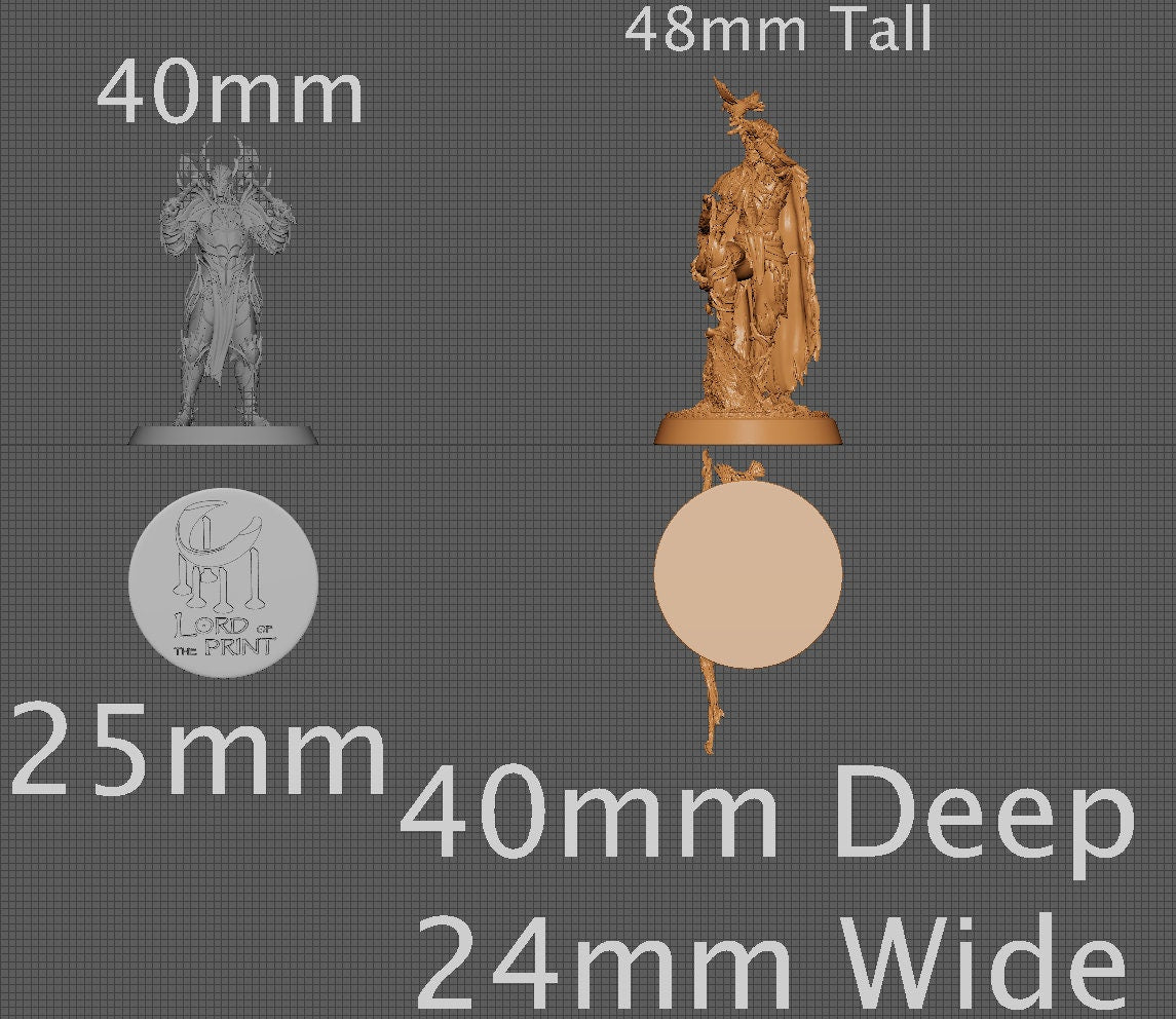 Kailu, Eledrin, Collective Studios | Dungeons and Dragons | Pathfinder | Table Top RPG | 3D Printed Model