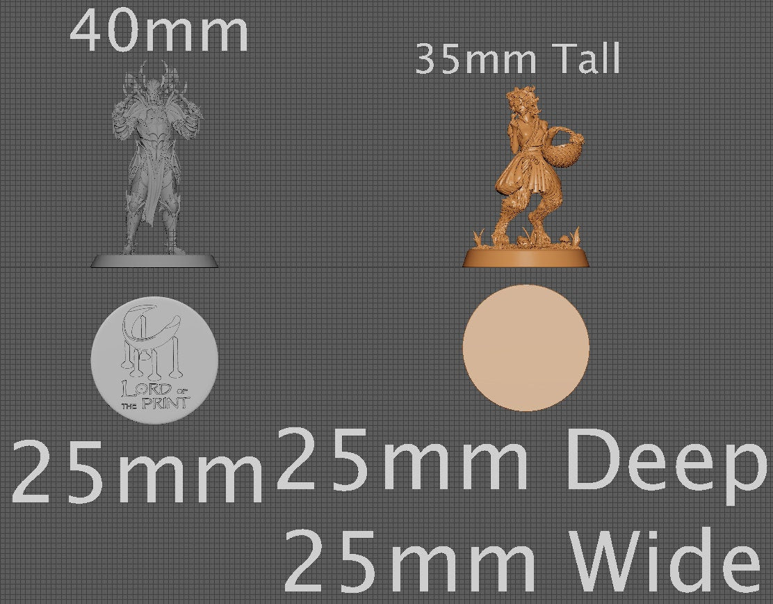 Ferne, Collective Studios | Dungeons and Dragons | Pathfinder | Table Top RPG | 3D Printed Model
