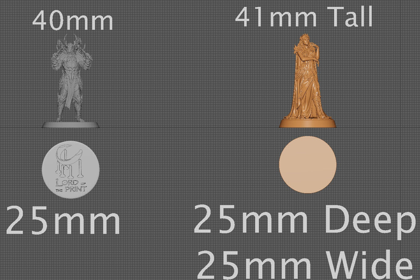 Lady Enya, Collective Studios | Dungeons and Dragons | Pathfinder | Table Top RPG | 3D Printed Model