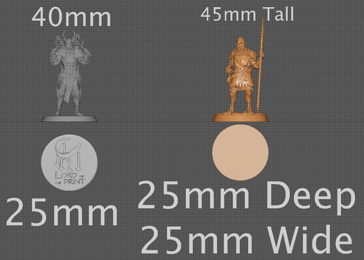 Goldenkeep Guard, Collective Studios | Dungeons and Dragons | Pathfinder | Table Top RPG | 3D Printed Model