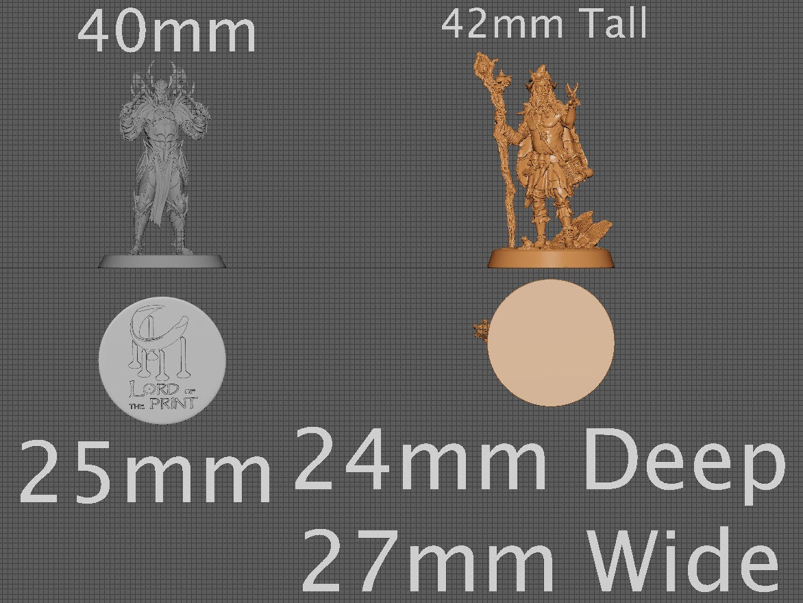 Nivalis the Druid, Collective Studios | Dungeons and Dragons | Pathfinder | Table Top RPG | 3D Printed Model
