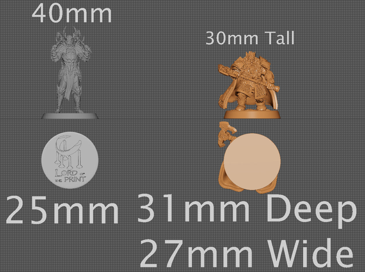 Dwarf King, Collective Studios | Dungeons and Dragons | Pathfinder | Table Top RPG | 3D Printed Model