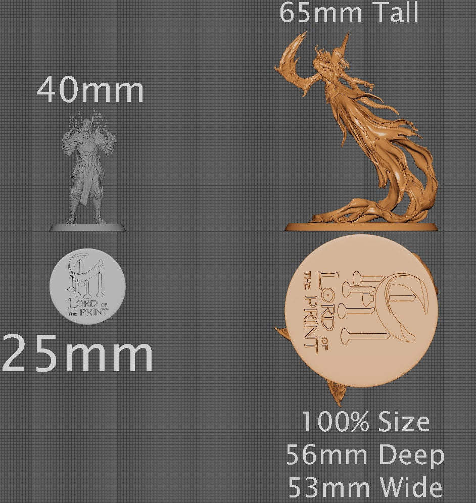 Vampire Queen, Order Immortalis Vol.2, Lord of the Print | Dungeons and Dragons | Pathfinder | Table Top RPG | 3D Printed Model