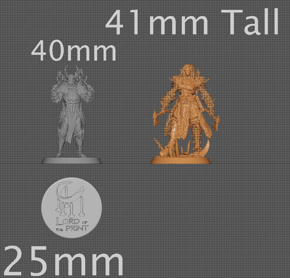 Queen Drakka, Rescale Miniatures | Dungeons and Dragons | Pathfinder | Table Top RPG | 3D Printed Model