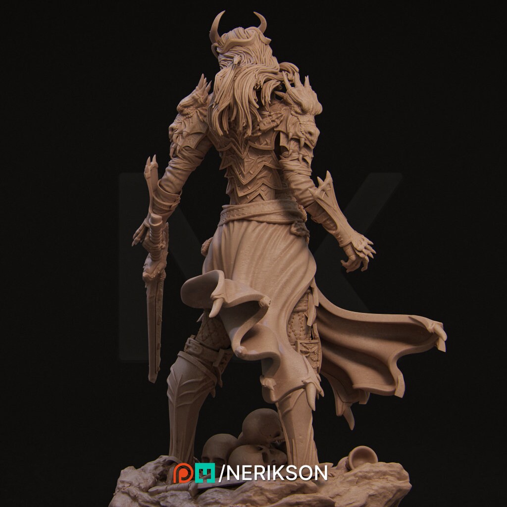 Alheera, Powerful NPC, Ernest Nemirovsky | Dungeons and Dragons | Pathfinder | Table Top RPG | 3D Printed Model