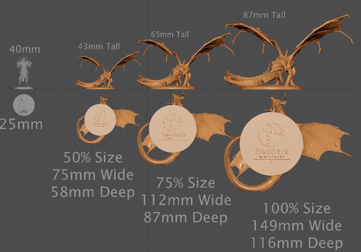 Black Dragon, Multiple Pose Options, Lord of the Print | Dungeons and Dragons | Pathfinder | Table Top RPG | 3D Printed Model