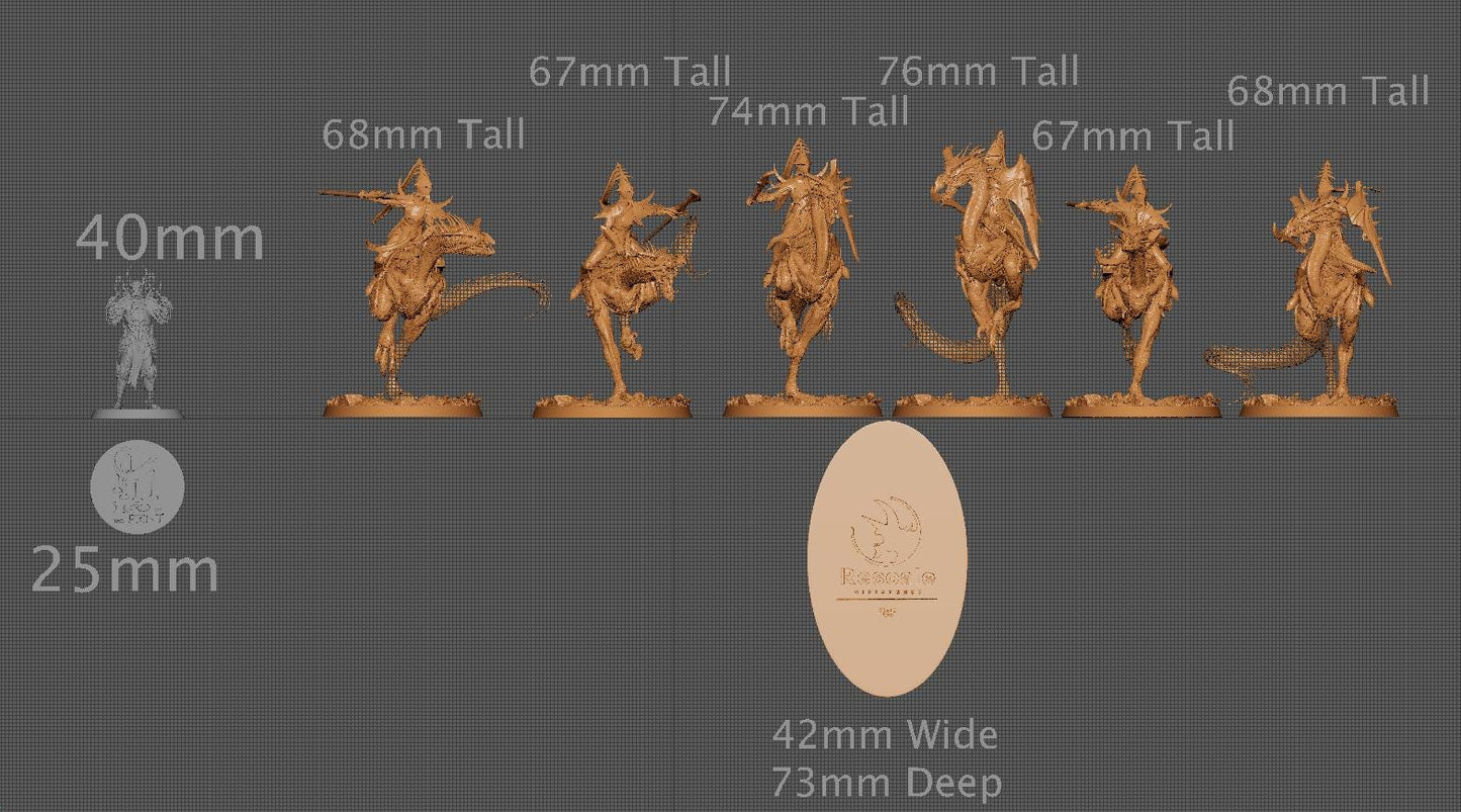 Avispyror Riders, Lord of the Print | Dungeons and Dragons | Pathfinder | Table Top RPG | 3D Printed Model