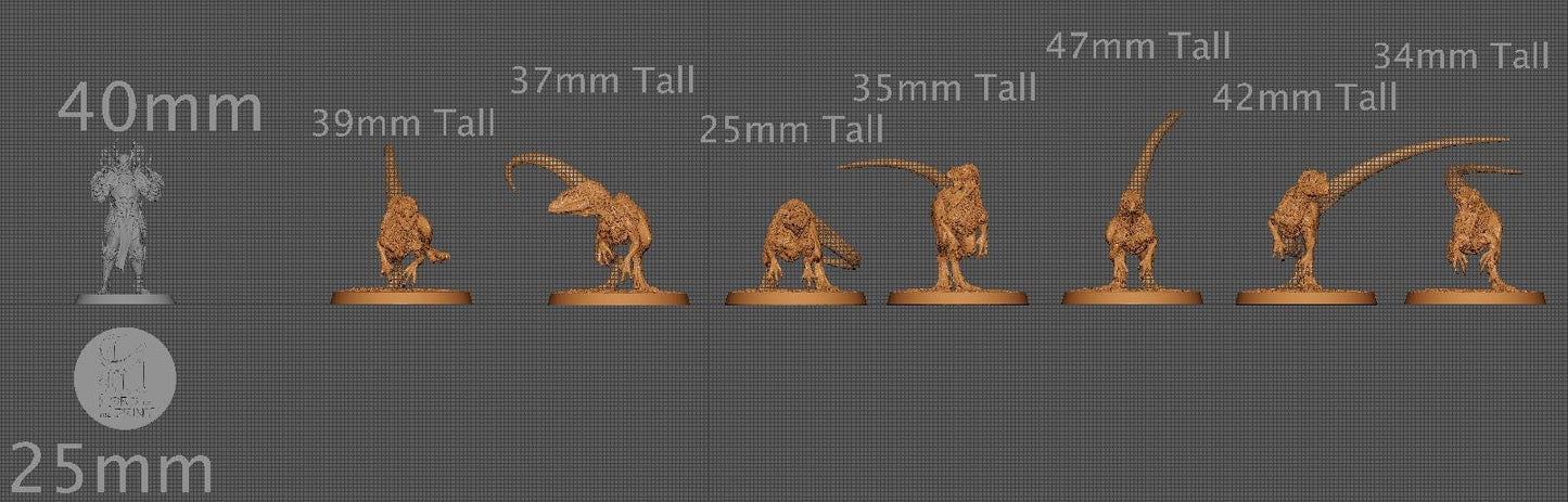Wild Velociraptors, Lord of the Print | Dungeons and Dragons | Pathfinder | Table Top RPG | 3D Printed Model