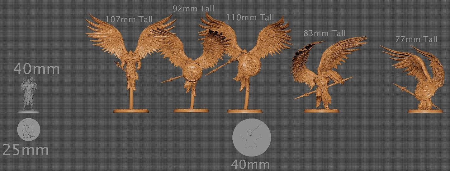 The Ascended Flying Legion, Pack 2, Rescale Miniatures | Dungeons and Dragons | Pathfinder | Table Top RPG | 3D Printed Model