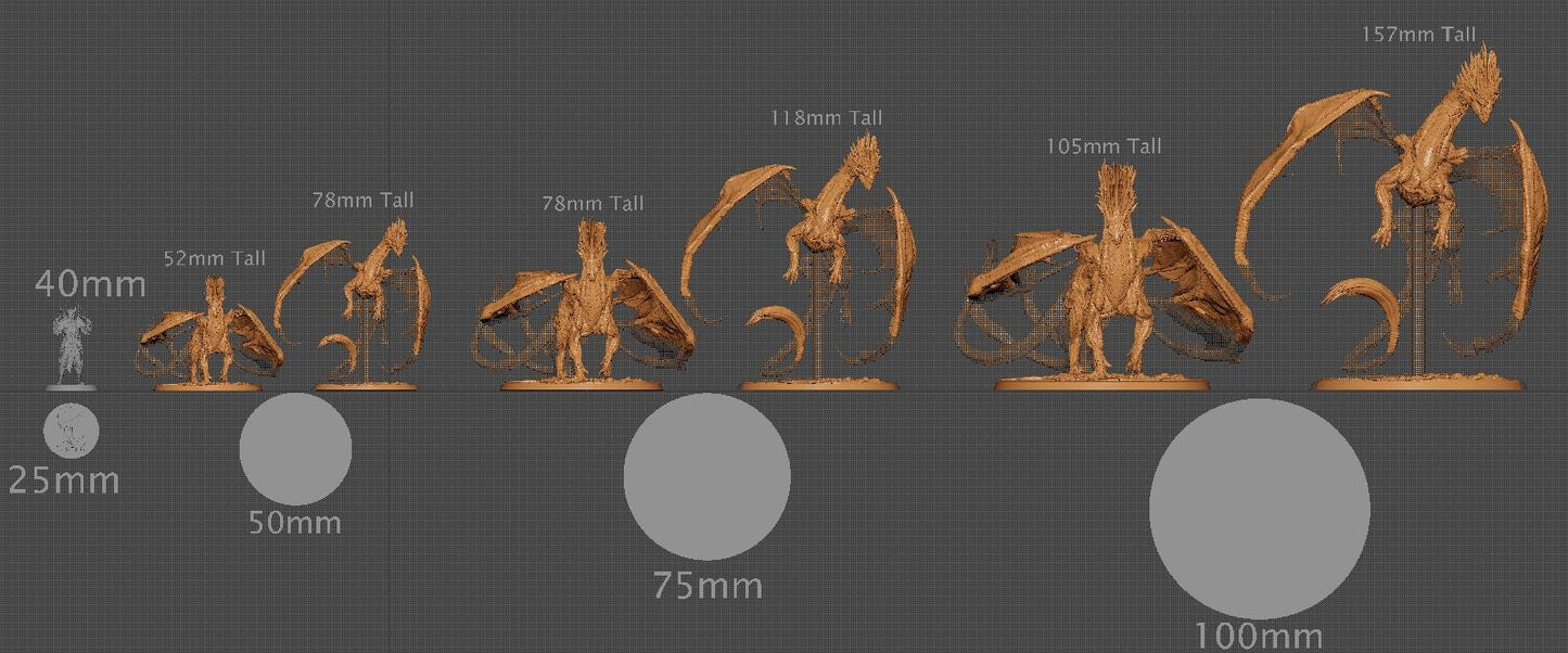 Wild Dragon Watchers, Rescale Miniatures | Dungeons and Dragons | Pathfinder | Table Top RPG | 3D Printed Model