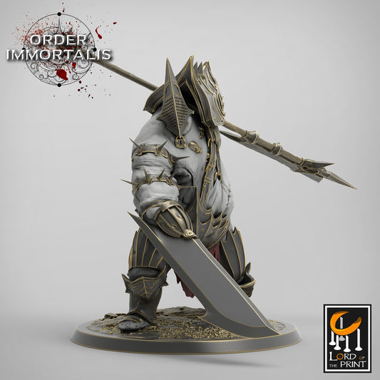 Tormentor Order Immortalis, Lord of the Print | Dungeons and Dragons | Pathfinder | Table Top RPG | 3D Printed Model