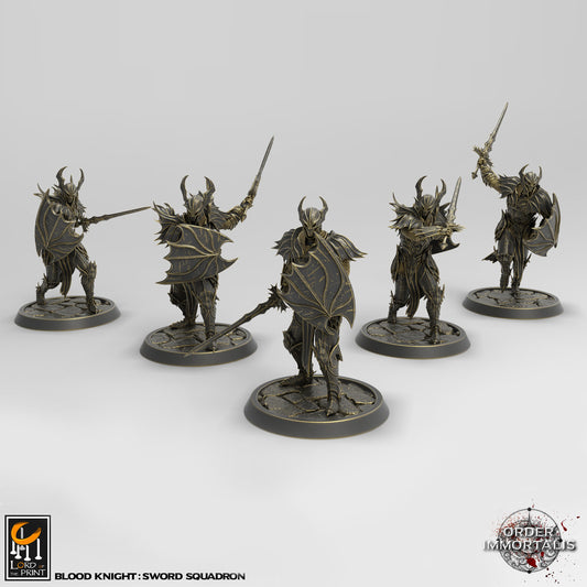 Blood knight Longsword Squadron, Order Immortalis, Lord of the Print | Dungeons and Dragons | Pathfinder | Table Top RPG | 3D Printed Model