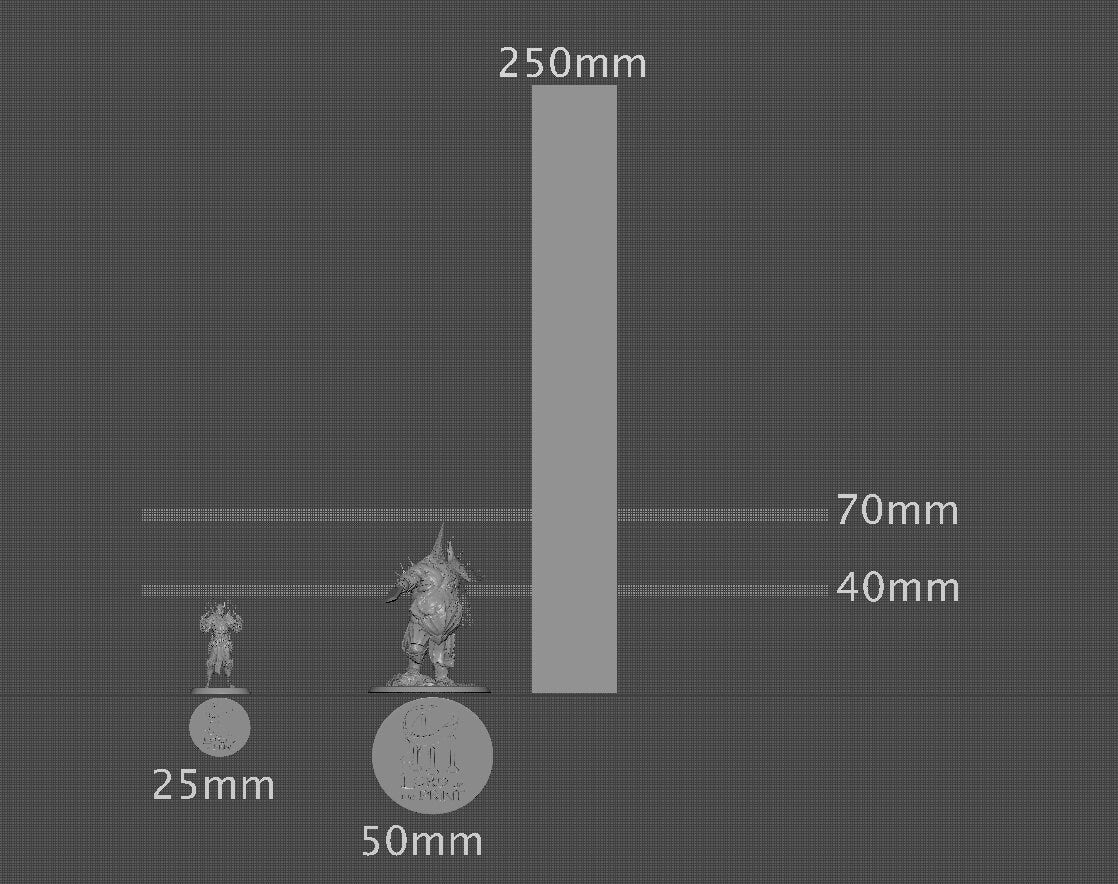 Tormentor Order Immortalis | Aussie 3D Printed Miniatures and Terrain