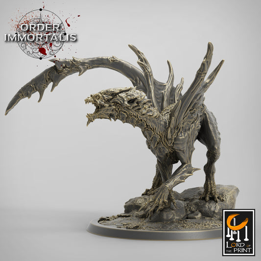 Young Blood Dragon, Order Immortalis, Lord of the Print | Dungeons and Dragons | Pathfinder | Table Top RPG | 3D Printed Model