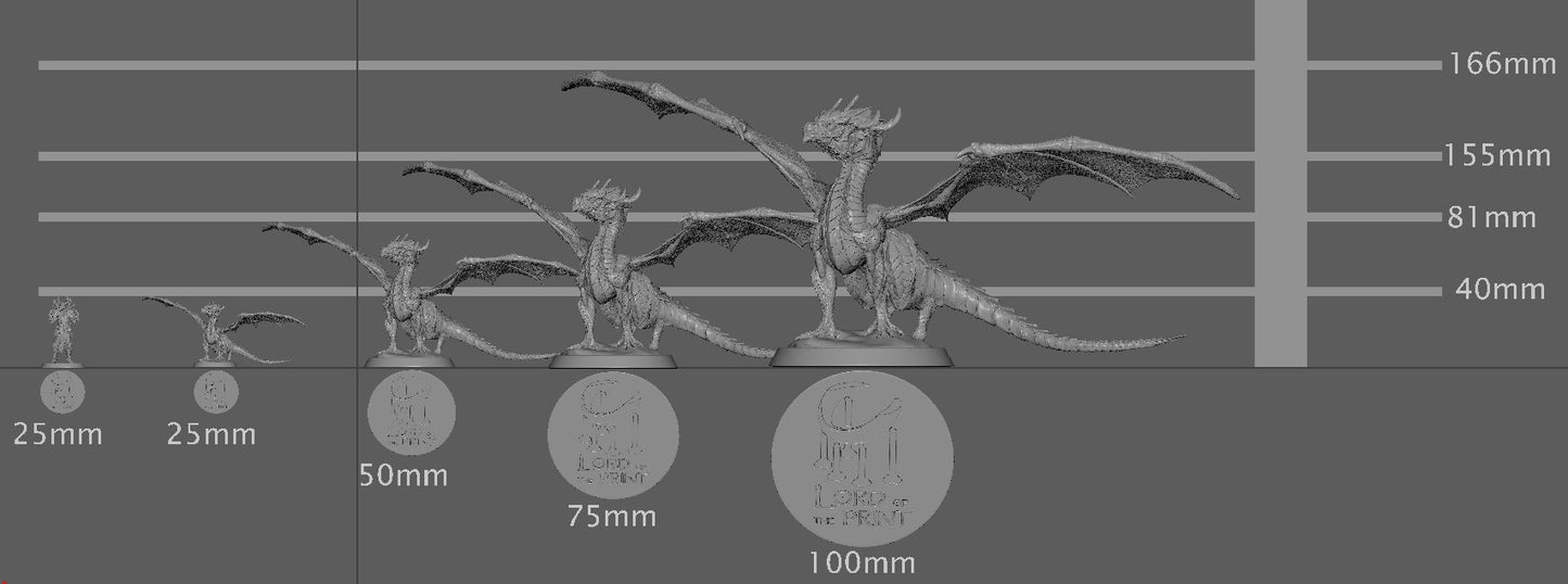 Cute Dragon, Baby Dragon, Lord of the Print | Dungeons and Dragons | Pathfinder | Table Top RPG | 3D Printed Model