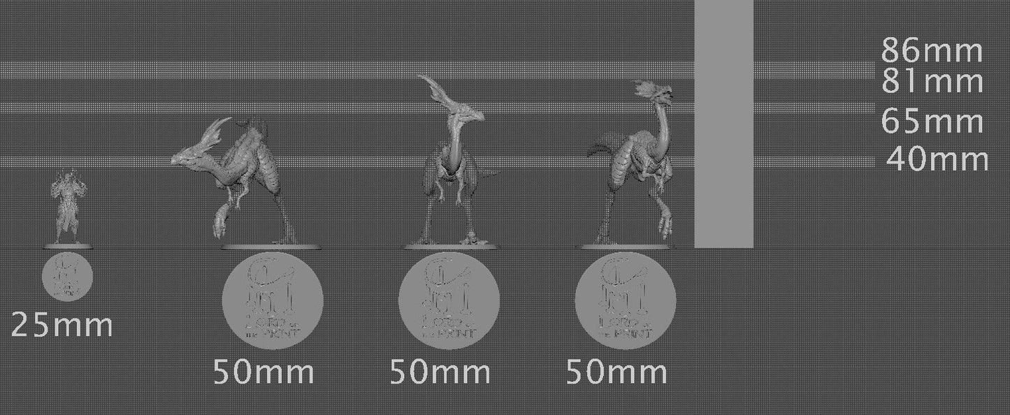 Austiceratops, Dinosaur, Lord of the Print | Dungeons and Dragons | Pathfinder | Table Top RPG | 3D Printed Model