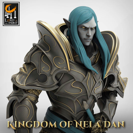 Lord Veir, Elvish Kingdom of Nela Dan, Lord of the Print | Dungeons and Dragons | Pathfinder | Table Top RPG | 3D Printed Model