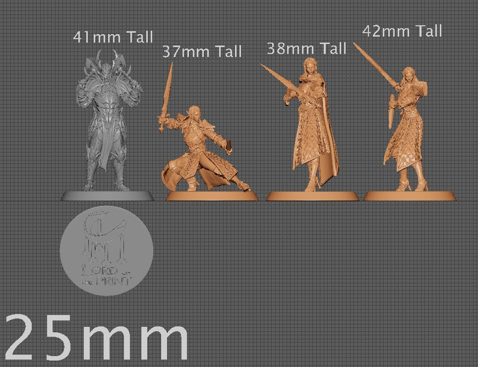 Dual Sword Squadron | Aussie 3D Printed Miniatures and Terrain