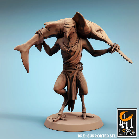 Kenku Fisherman, Dinotopia, Lord of the Print | Dungeons and Dragons | Pathfinder | Table Top RPG | 3D Printed Model