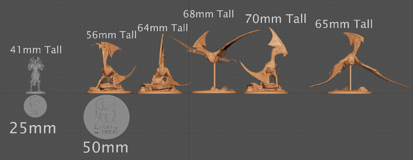 Tupandactylus, Dinotopia, Lord of the Print | Dungeons and Dragons | Pathfinder | Table Top RPG | 3D Printed Model