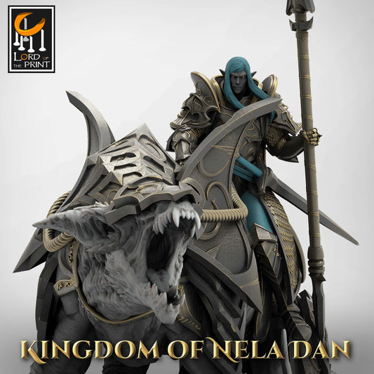 Lord Veir on Siri | Aussie 3D Printed Miniatures and Terrain
