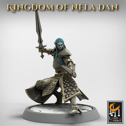 Dual Sword Squadron, Elvish Kingdom of Nela Dan, Lord of the Print | Dungeons and Dragons | Pathfinder | Table Top RPG | 3D Printed Model