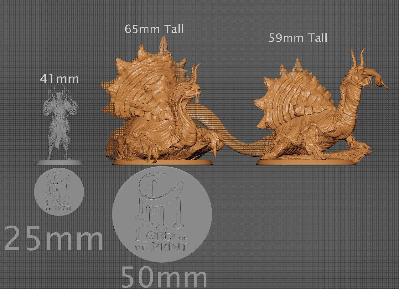 Tortescargo Duo, Lord of the Print | Dungeons and Dragons | Pathfinder | Table Top RPG | 3D Printed Model