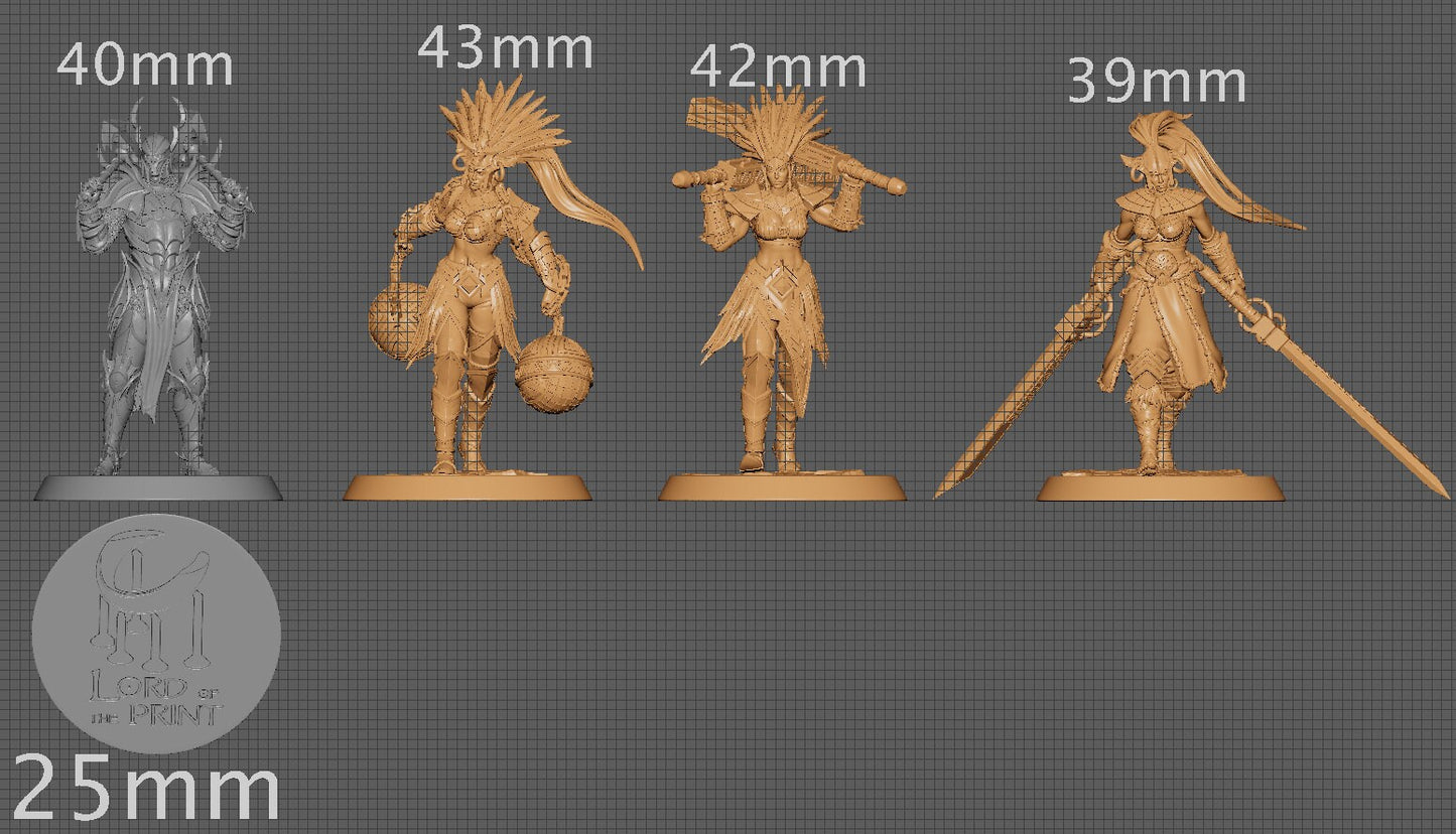 Amazon Dual Heavy Squad, Lord of the Print | Dungeons and Dragons | Pathfinder | Table Top RPG | 3D Printed Model